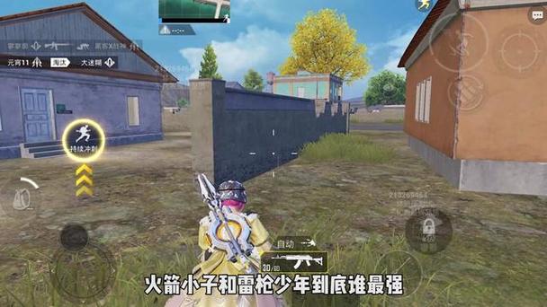 和平精英辅助 - 辅助平台推荐 - 自瞄锁头透视功能齐全